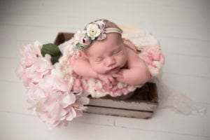 Columbus Newborn Photographer