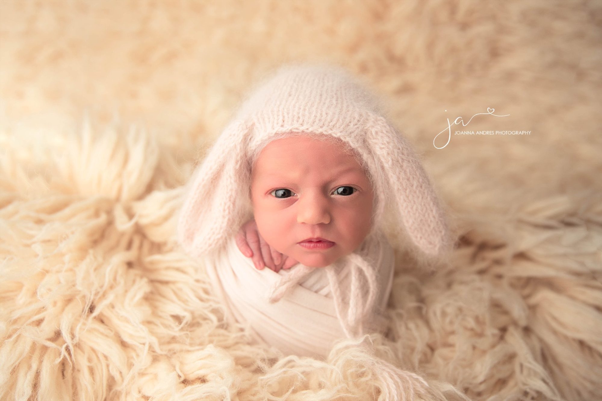 Baby Photographer Upper Arlington Ohio_0902