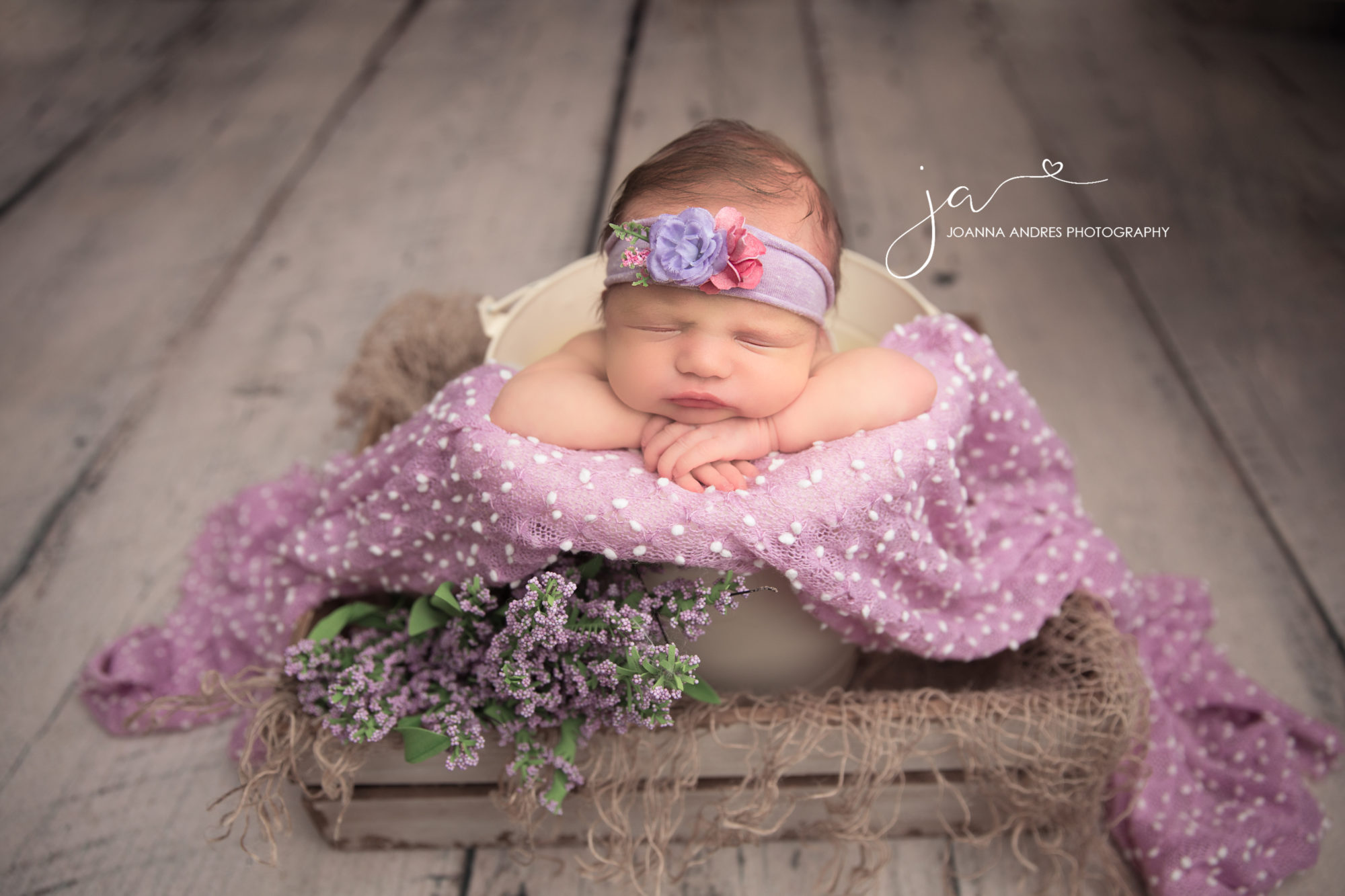 Best Baby Photographer Clintonville Ohio