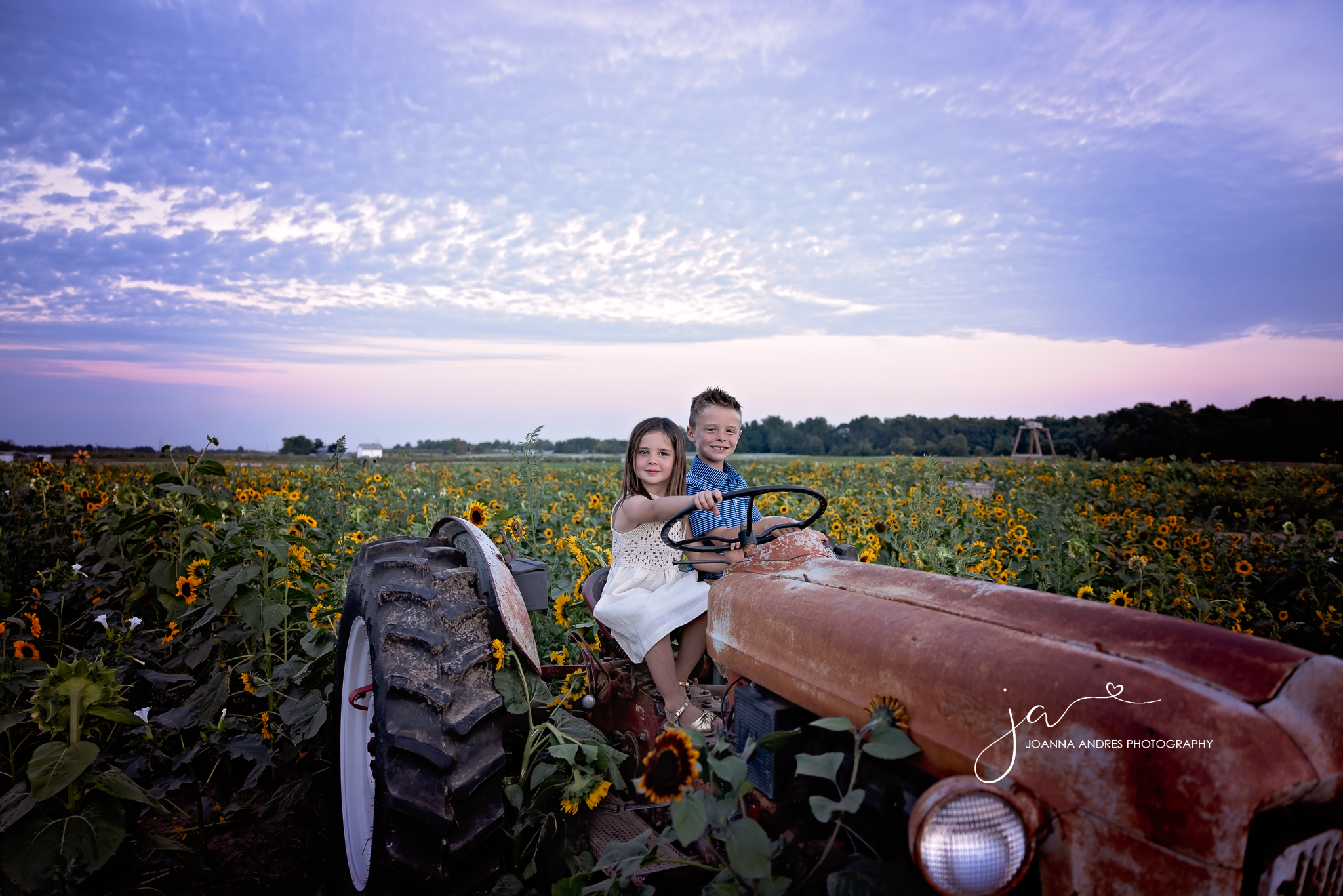 siblings on a rustic tractor with sunflowers in the backdrop