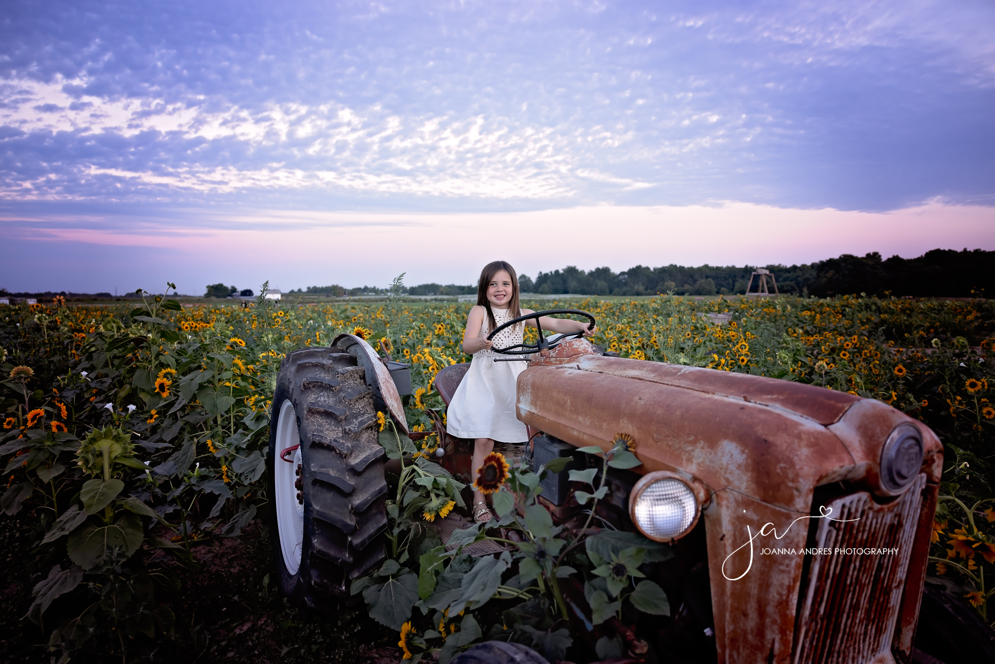 girl standing and holding the wheel of a vintage tractor in the middle of a sunflower field