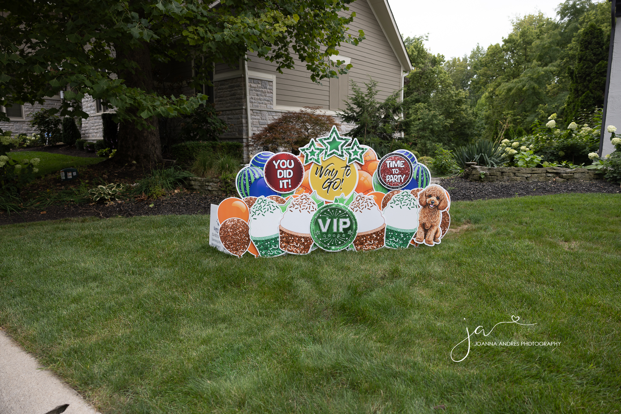 Yard sign that says VIP with balloons and photo of a dog