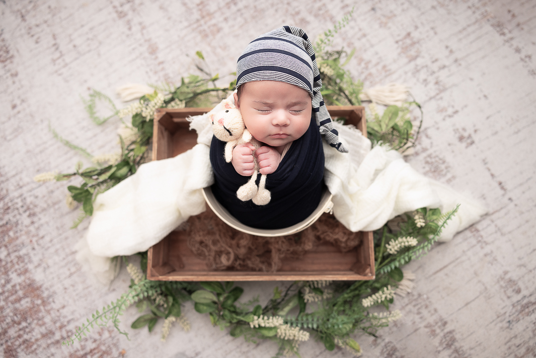 baby in a bucket holding a kitty lovely and greenery surrounding the prop