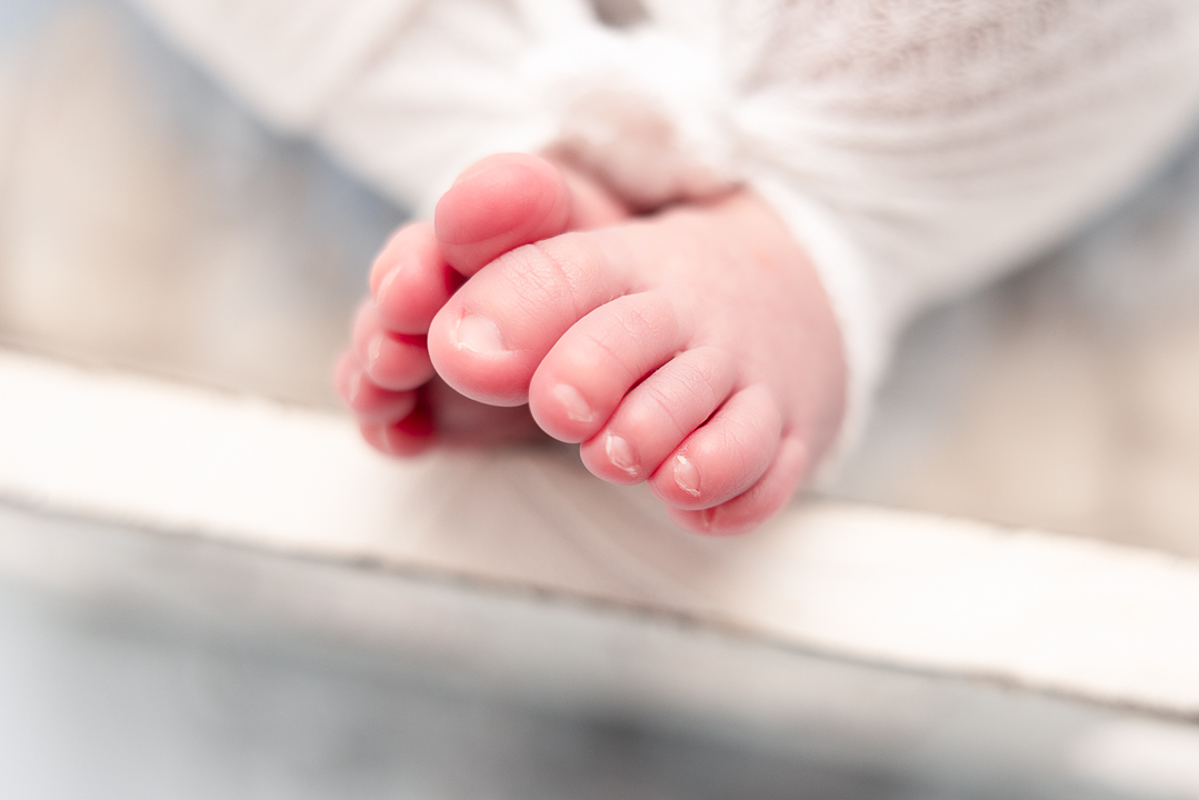 Close up of babys toes