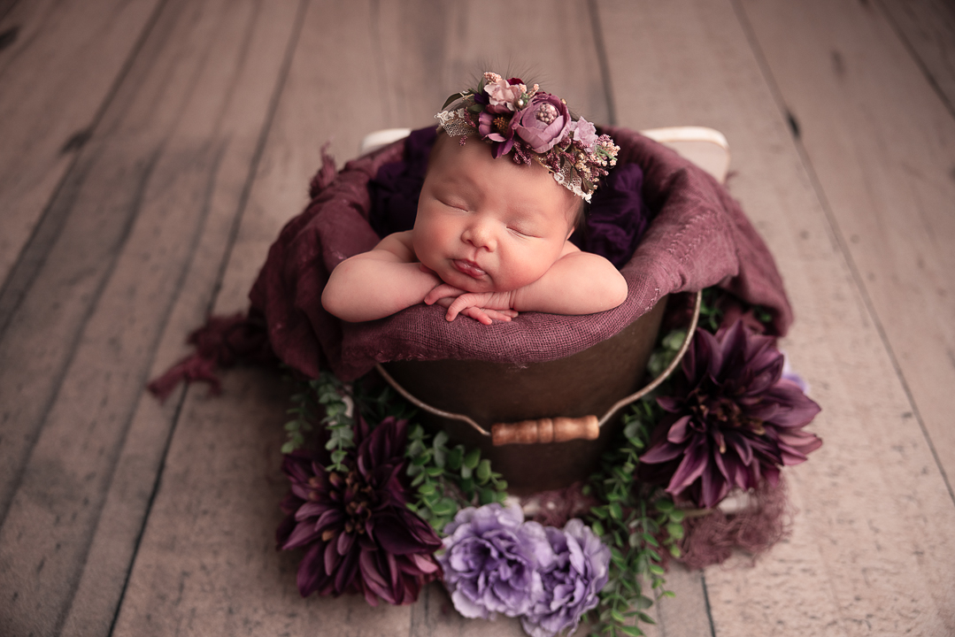 newborn photo of baby girl in a bucket with deep purples